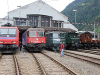 sechs Generationen Lokomotiven nebeneinander, Baujahre: 2003, 1978, 1957, 1931, 1921, 1919